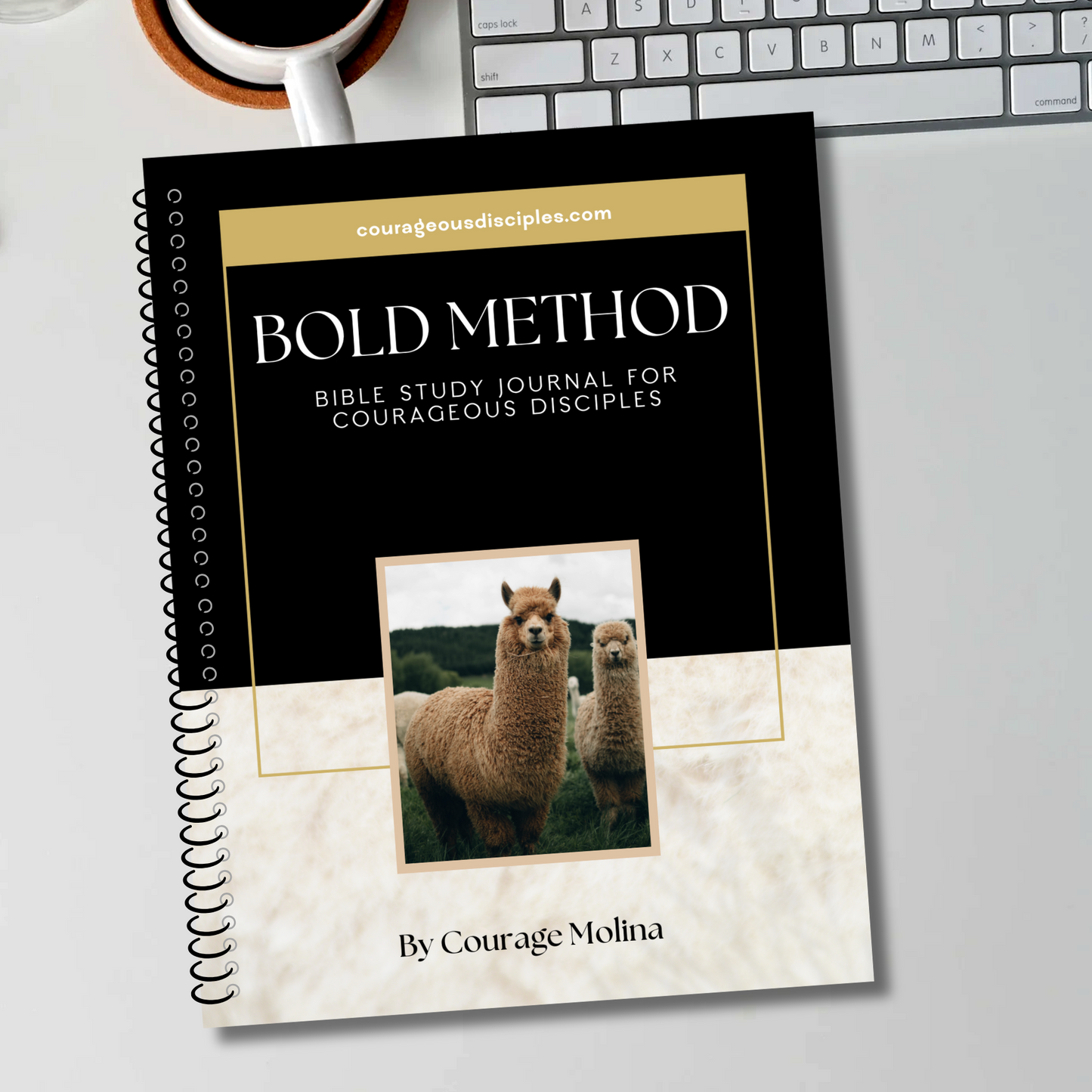 BOLD Method Bible Study Journal (Alpaca)